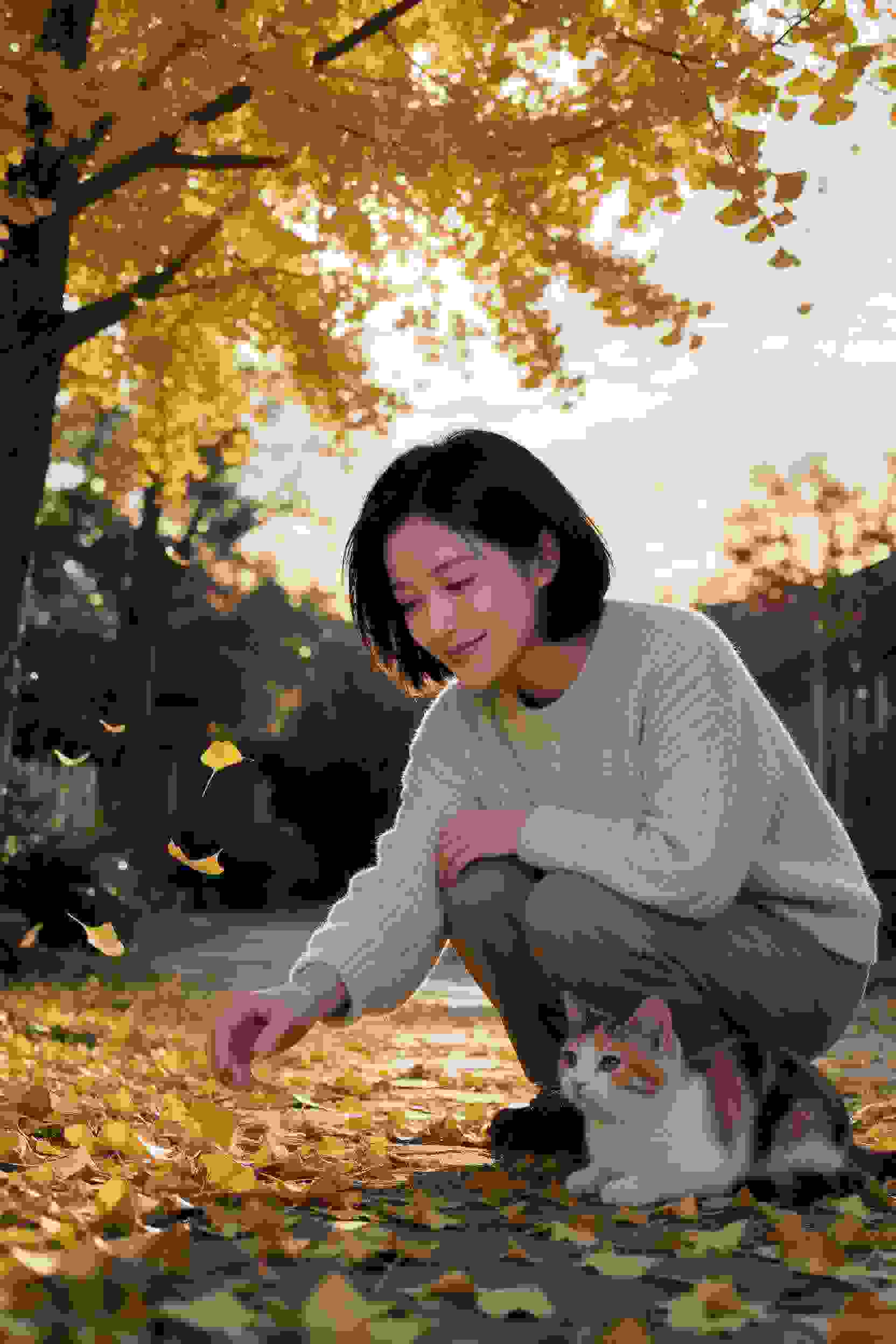 青青校园恋